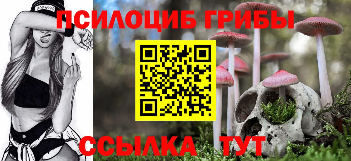 Псилоцибиновые грибы Psilocybe Гуково